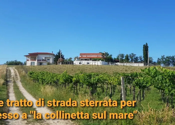 La collinetta sul mare